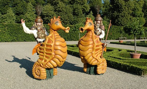 Tukkers Hippocampus Foto Roy Tukkers